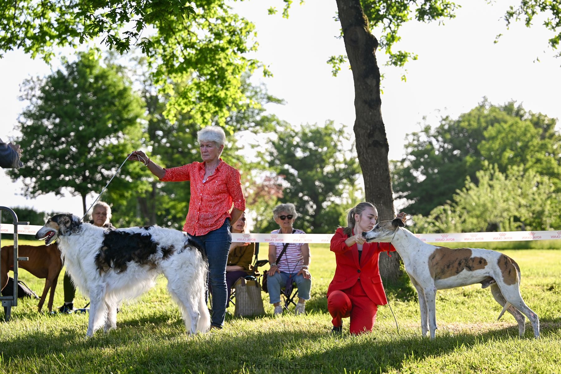 Resultats de la Nationale d'Elevage 2025